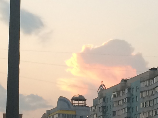 Met a bear, took a picture on a paw - Evening, The Bears, My, Russia, Clouds