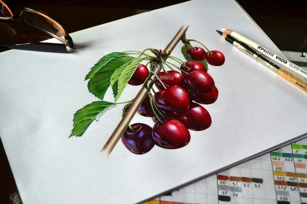 My drawing. - My, Drawing, Pencil drawing, Creation, Photorealism, Botany, Cherries, Interesting