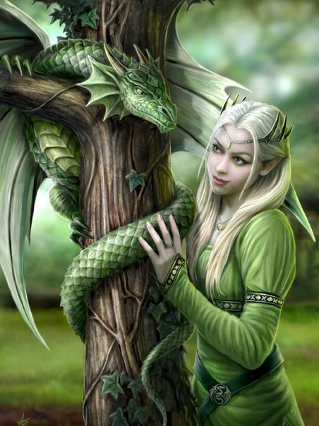 The Story of a Dragon - The Dragon, Life stories, , Fairy world, Story, Fantasy, , Longpost