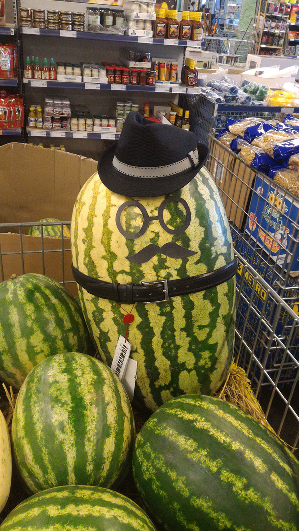 ��� ������� ���� �����