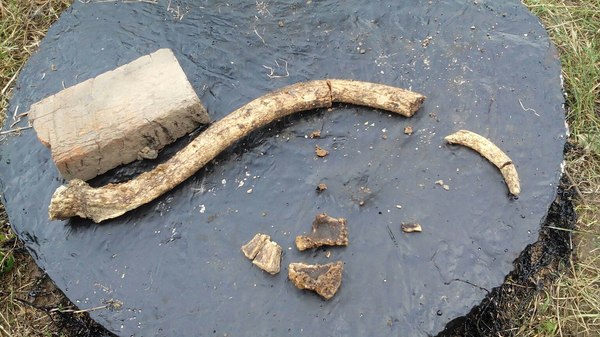 �� ���� ������ ������� �� ����� �������� :)