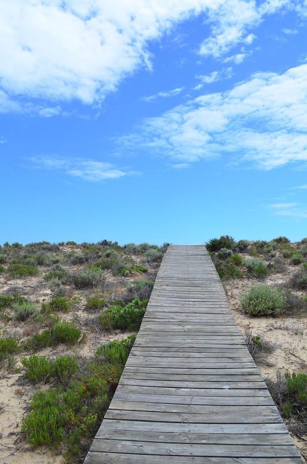 Portugal. Desert island Ilha Deserta - My, Portugal, Uninhabited island, , Travels, Travelers, Bloggers, Summer, Longpost