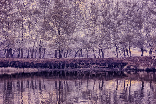 A couple of infrared landscapes - My, Photo, The photo, , Infrared, Infrared shooting