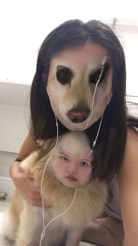 The Horrors of Snapchat - My, Dog, Asian, Snapchat, Horror, Horror, Photo, Selfie, Gratuti