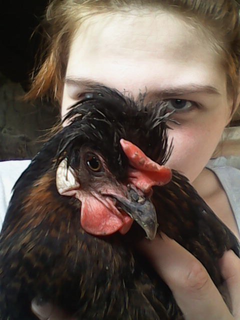 ������� �������