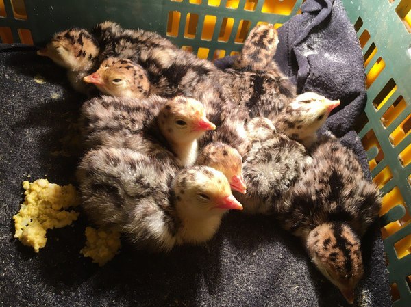 ������� ������ ������ ^_^