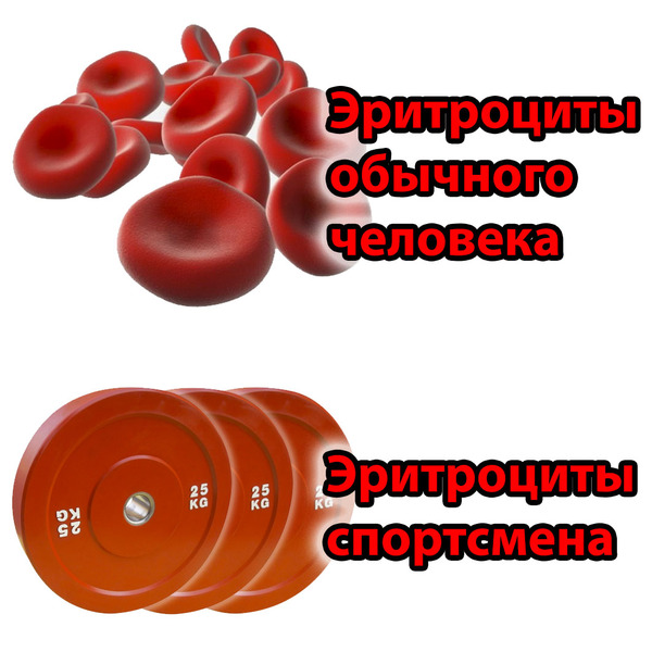 Спорт, он в крови