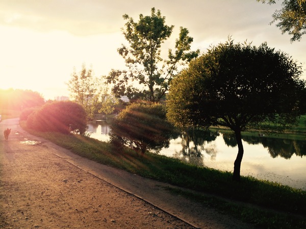 Autumn is coming - My, Nature, Photo, , Evening, Belarus, Minsk, Longpost