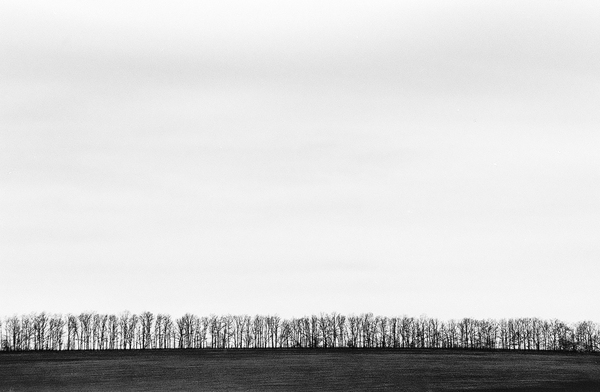 Front line - My, The photo, Black and white photo, Landscape, Photo, Fujifilm, Monochrome, Black and white, Nature