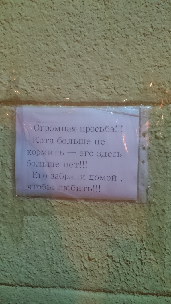 Два года подкармливал кота, как вдруг - Кот, Моё, Теги явно не мое, Милота