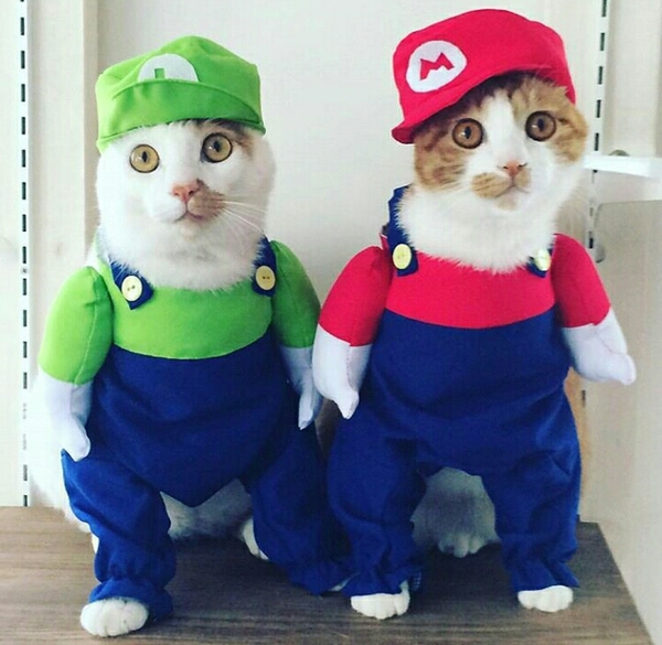 Марио и Луиджи