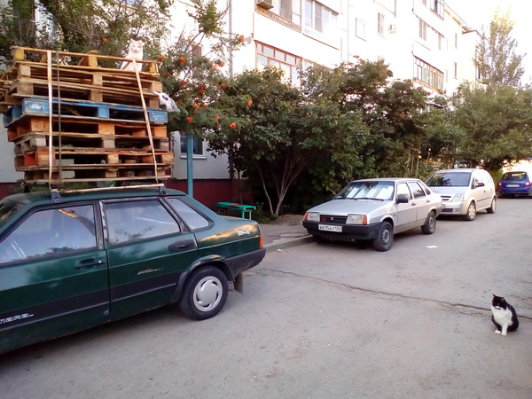 I go to work in the morning and here it is, and everything would be nothing, but this look. - My, Boiler, Pallet, Morning, Pallets