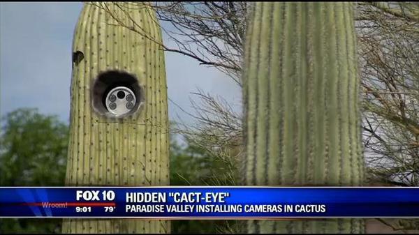 Arizona State Police Hiding CCTV Cameras in Artificial Cacti - USA, Arizona, Hid, Police, Cactus, Camera, Car, Auto