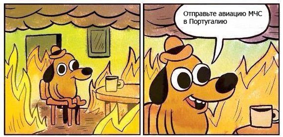 В Свердловской области горит 260 гектаров леса & Самолеты МЧС России продолжают тушить пожары в Португалии - Сатира, Новости, Лесные пожары