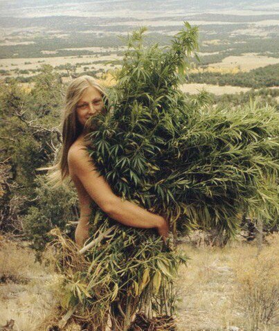 �� ������ ���� �����, � ����� ���� ���������