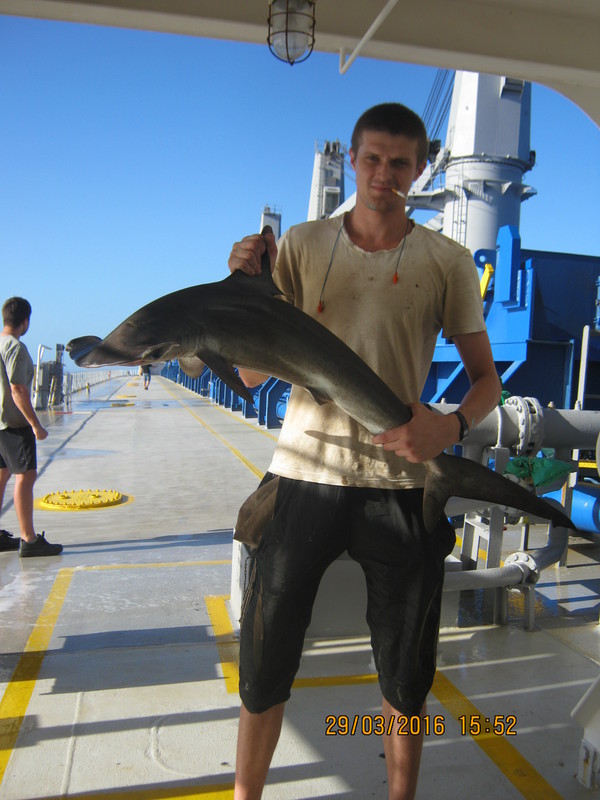 my catch) - My, Fishing, Ocean, Shark, Catch, Work at sea, Steamer, Photo, My