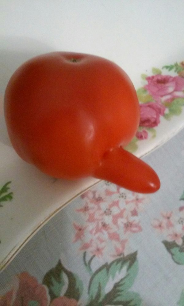 Х*евый помидор