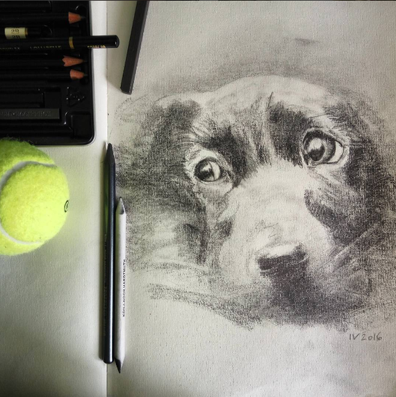 dog ball - My, Art, Drawing, Pencil, Dog, Ball, Sharklu