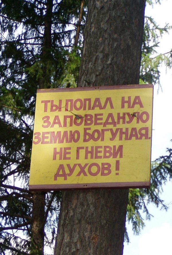 Предостерегающая табличка в лесу.