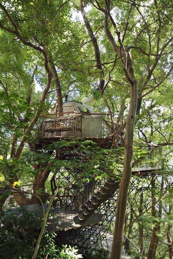 Tea room on the tree (long post) - Nest, Incredible, Longpost, Not mine, Architect, 