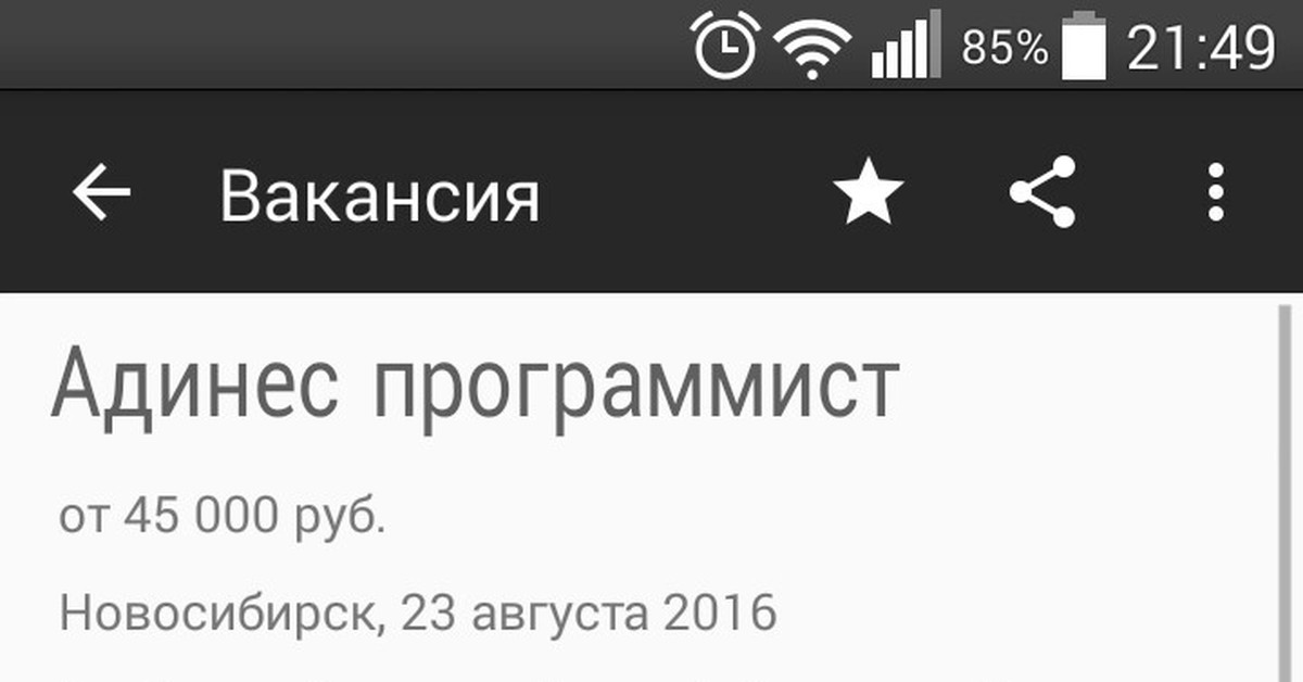 Адинес программа