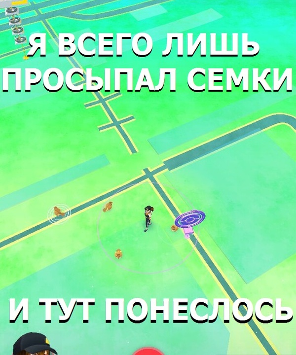 Тем временем в Купчино