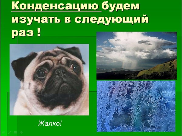 Weird presentation slides. - Pug, Presentation, Condensation, Strange people