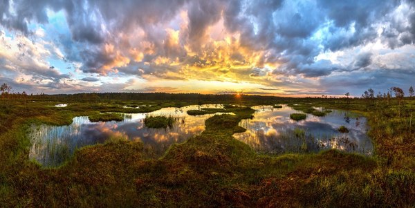 Path to the Sun Vyborgsky district of the Leningrad region. - Leningrad region, Images, Photo, 