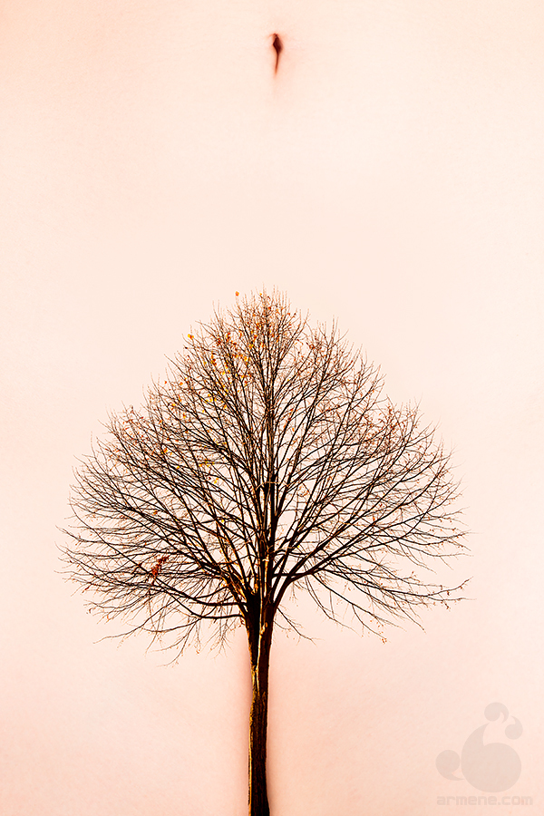 MNMLSM (Minimalism) - NSFW, Photo, Tree, Erotic, Stomach, Girls, Minimalism, Art