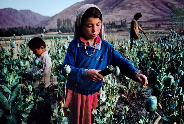Child labor brings happiness to society - Work, Poppy, Children, Child labour, Happiness, Sarcasm, 