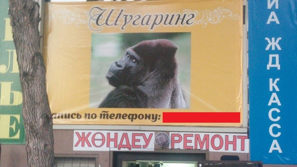 Cheerful approach to advertising in Astana. - Signboard, My, Advertising