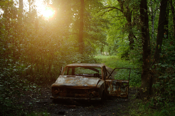 In the park of Kronstadt - My, Photo, The park, Auto