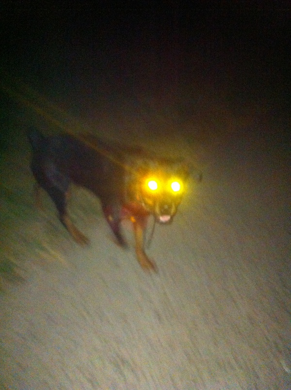 ������� �������, ������ ��������!