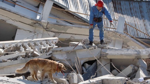 Il Giornale: Russia offered to help Italy that survived the earthquake (comments from foreign users are encouraging) - Politics, Italy, media, Ministry of Emergency Situations, Longpost, Media and press