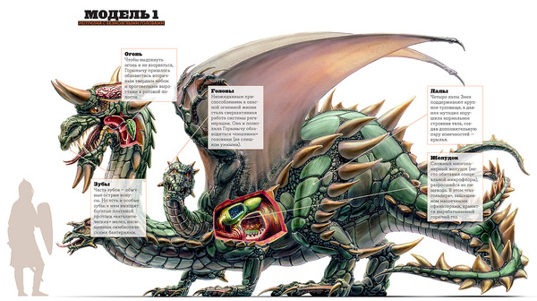 The structure of Gorynych - Dragon, Structure, Around the world