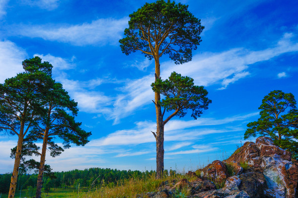 I'm not a magician, I'm just learning. - My, The photo, Nature, Sony