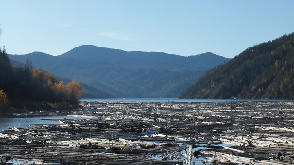 Sayano-Shushenskoye reservoir - My, Sshges, Cheryomushki, Khakassia, Nature