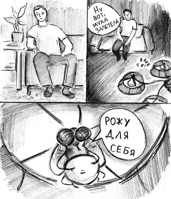 From the vastness of the Internet - Internet, Comics, Муха