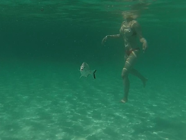 It's good to be a fish.. - My, A fish, Pleased, Sea, Under the water, GoPRO