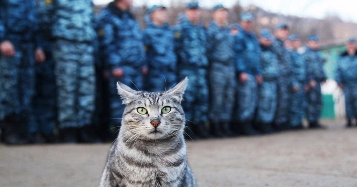 Картинки фсин на заставку