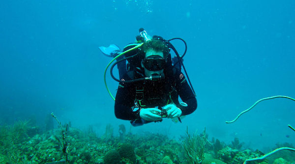 Scientists have learned to understand the speech of coral reefs - Ecology, Nature, Ocean, Scientists, Research