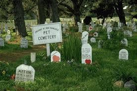 Community Pet Cemetery. - My, Pet Sematary, cat, Dog, A fish, Birds, Psydak