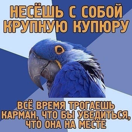 Well, it was! - Mamasik, Memes, A parrot, Animals, That feeling, Humor, A life, The bayanometer is silent