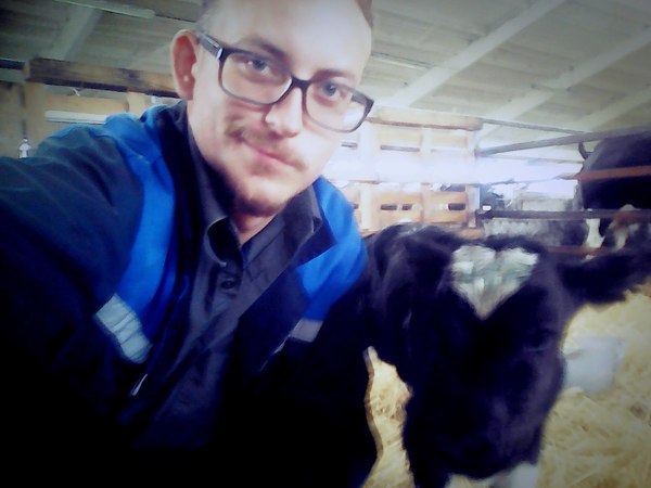 The rising generation of milk producers - My, My, Work, Calf