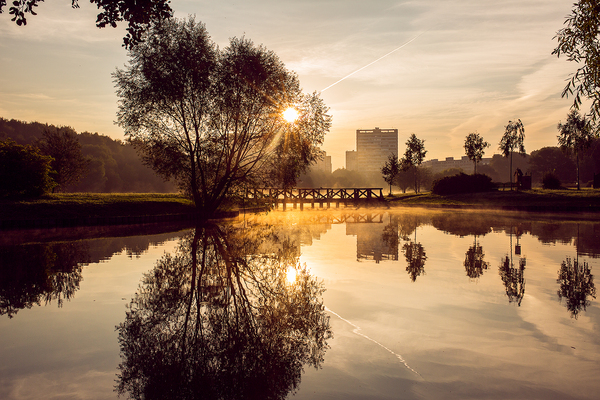 dawn silhouettes - My, Photographer, , Landscape, , Moscow, Nature