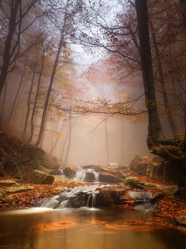 Something inspired and autumn is coming - , Autumn, Photo, From the network