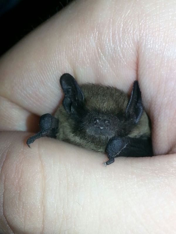 ������ ����, � �� ����� � ��� �������� ����� ���� ��������, ����� ���� ��� ������? ����� �� ���������� � �����?