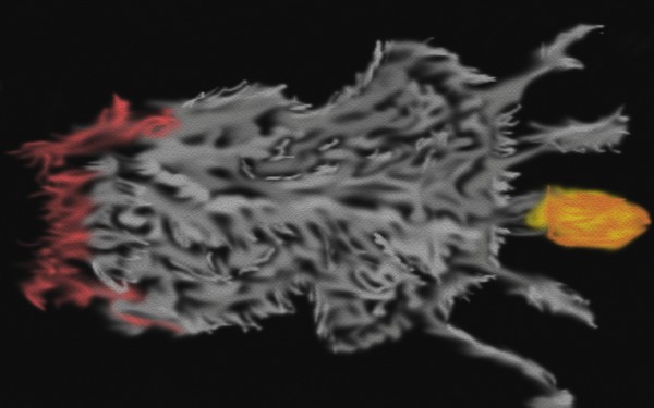 Типо выстрел