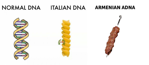 DNA  !