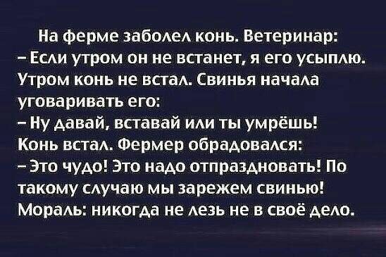 Приколы - Не смешно, Юмор, Идиотизм, Друг, Сборная России по футболу, Длиннопост